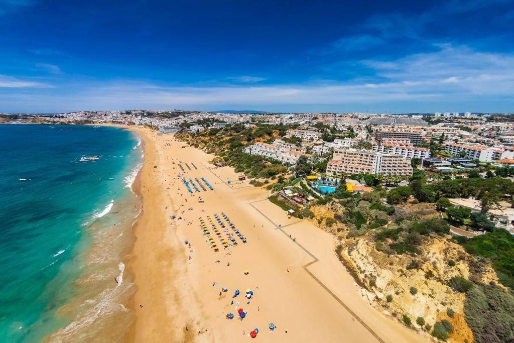 Apartment - Cerro Mar